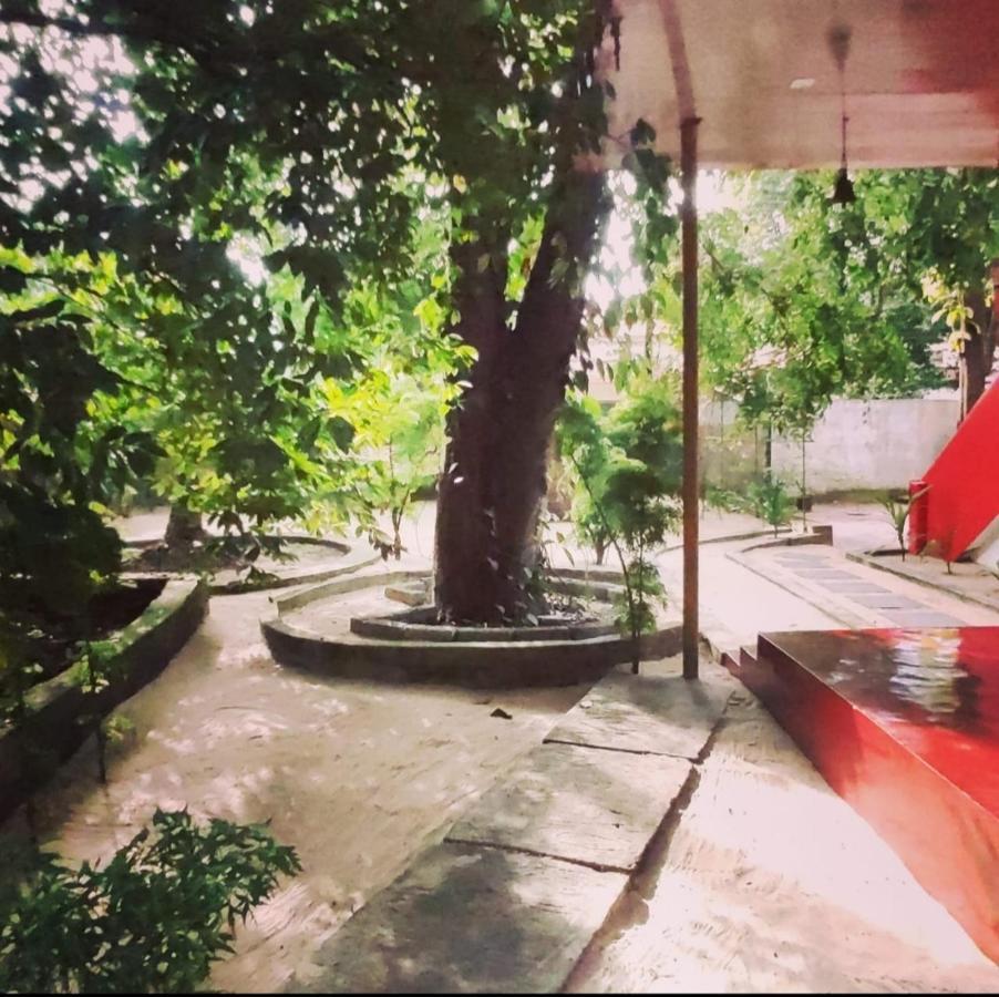 Marari Beach Pearl Homestay Mararikulam Eksteriør bilde