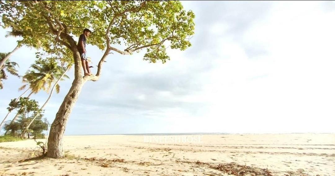 Marari Beach Pearl Homestay Mararikulam Eksteriør bilde
