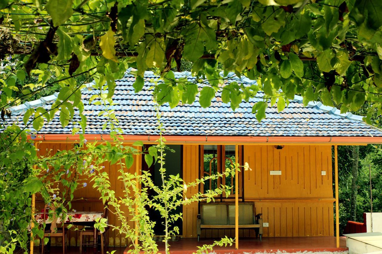 Marari Beach Pearl Homestay Mararikulam Eksteriør bilde