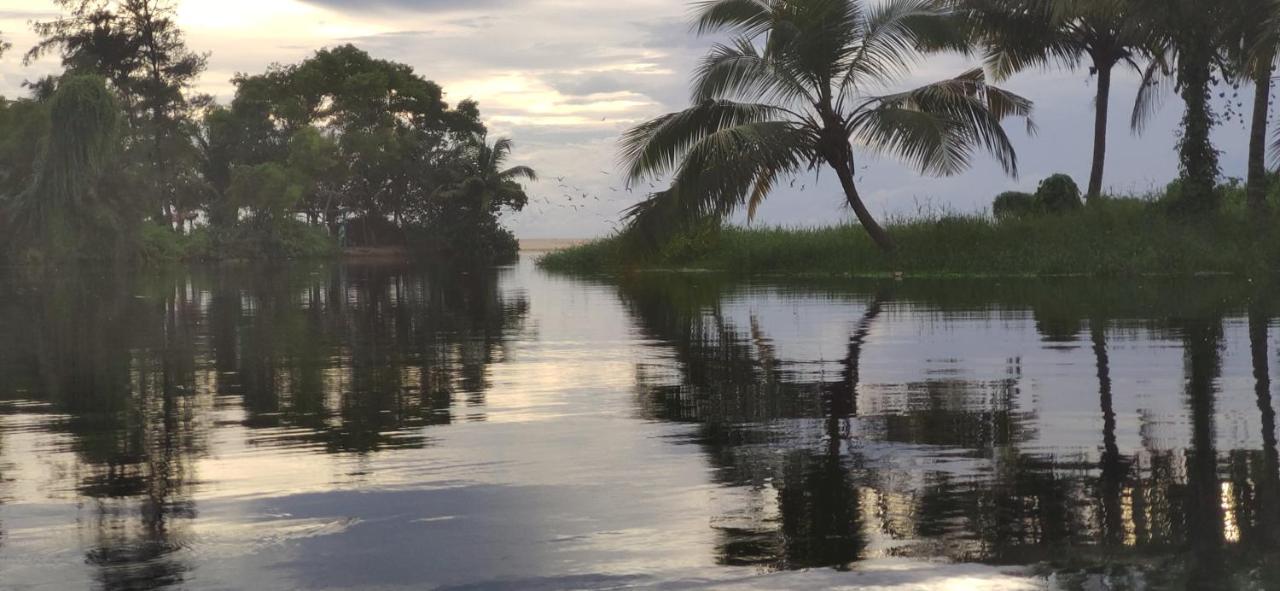 Marari Beach Pearl Homestay Mararikulam Eksteriør bilde