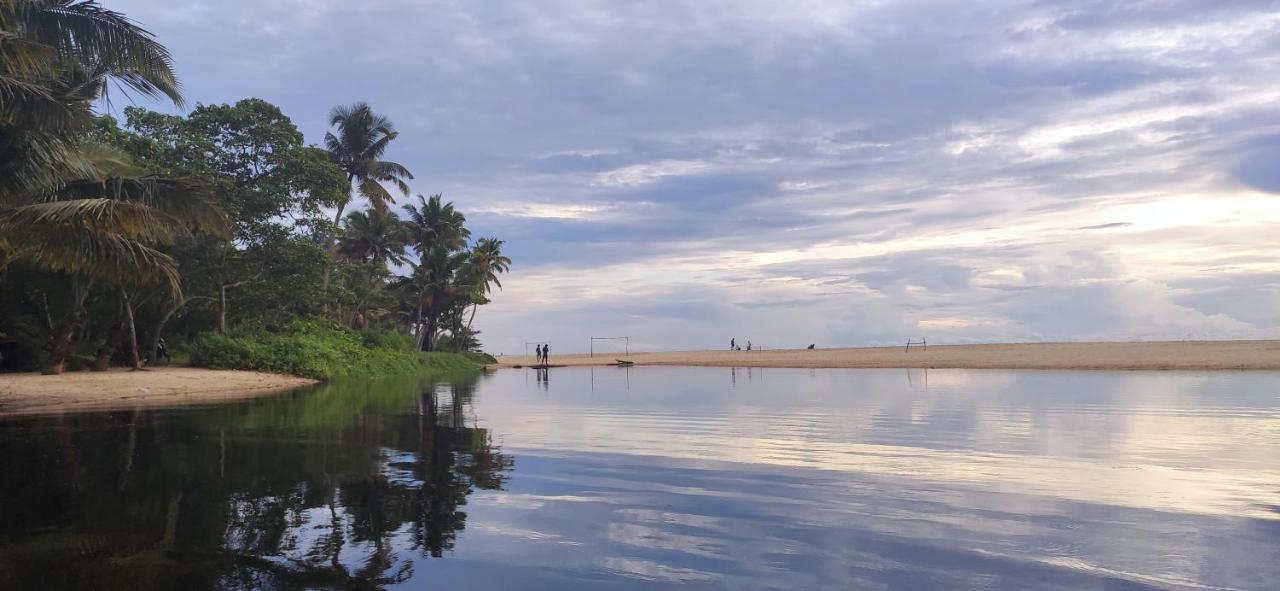 Marari Beach Pearl Homestay Mararikulam Eksteriør bilde